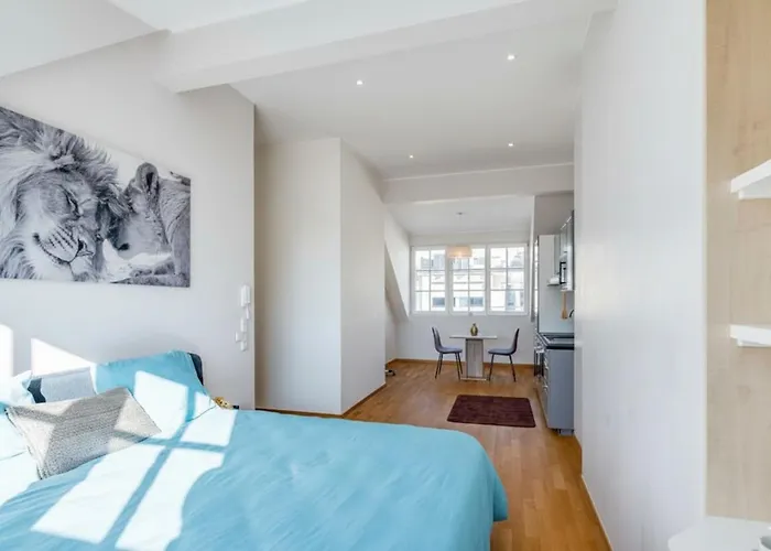 Petrusse Elite - Elegant In The Heart Of Apartman Luxemburg